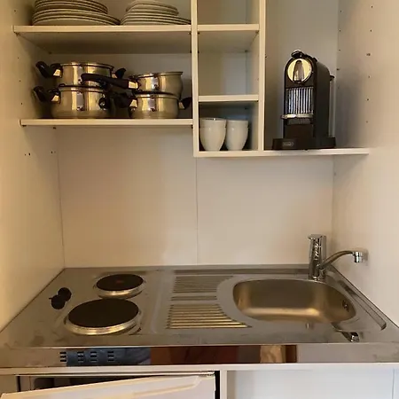 Modernes Alpenapartment mit Sauna Wintergarten und Pool Salzburg Exterior foto